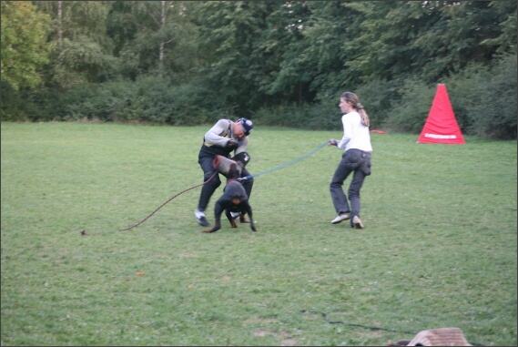 Summer training camp - Jelenec - 2007